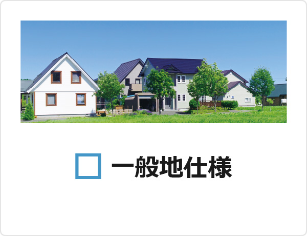 一般地仕様